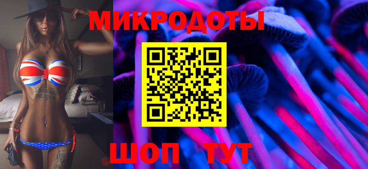 Псилоцибиновые грибы прущие грибы Гатчина