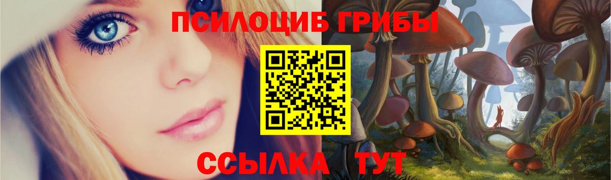 Галлюциногенные грибы Magic Shrooms  Вход с VPN  Гатчина  Галлюциногенные грибы прущие грибы 